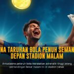 Bola Sabung Ayam: Mengenal Jenis Ayam Bangkok Juara