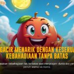 Sensasi Main Slot Zeus di Pragmatic Play yang Bikin Ketagihan!