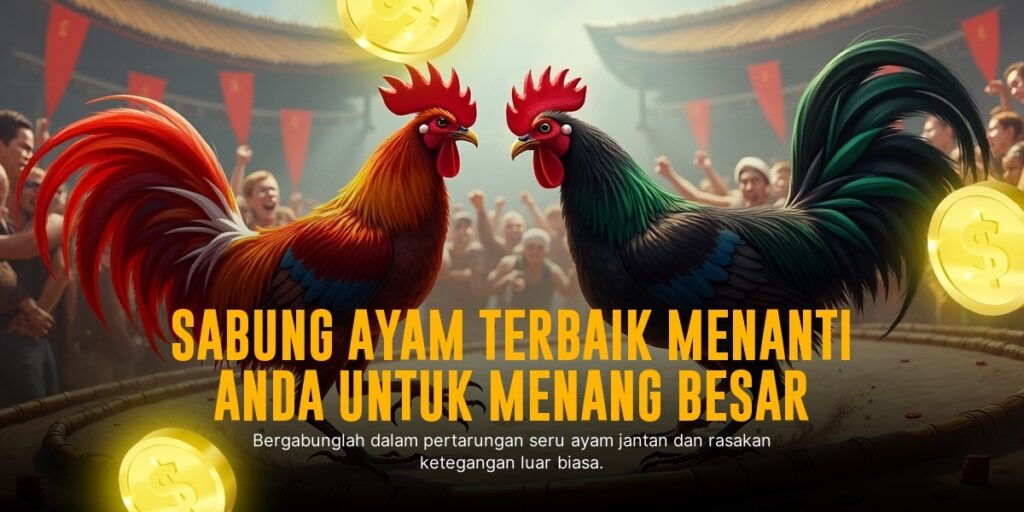 Mengenal Jenis Ayam Petarung Populer dalam Sabung Ayam SV388