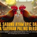 Ungkap Kehebatan Ayam Bangkok dalam Arena Sabung Ayam SV388
